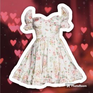 Dolls Kill Kindred Friends Babydoll Dress / Strawberry shortcake dress - NEW